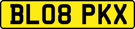 BL08PKX