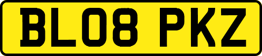 BL08PKZ