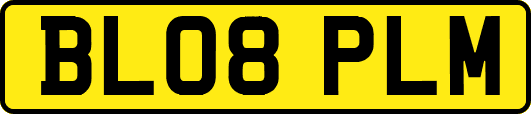 BL08PLM
