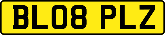 BL08PLZ