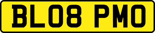 BL08PMO
