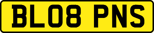 BL08PNS