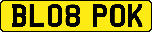 BL08POK