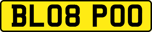 BL08POO