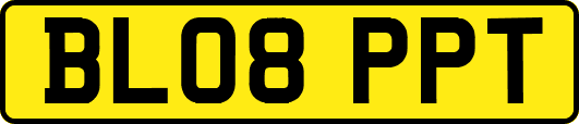 BL08PPT
