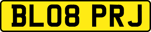 BL08PRJ