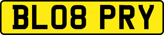 BL08PRY