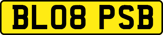 BL08PSB