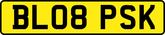 BL08PSK