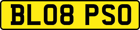 BL08PSO