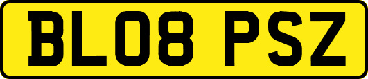 BL08PSZ