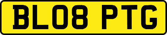 BL08PTG