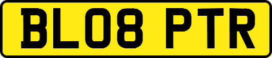 BL08PTR