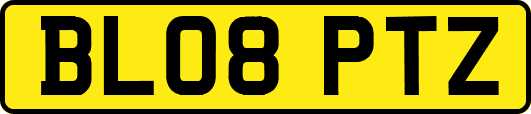 BL08PTZ