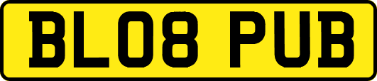 BL08PUB