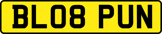 BL08PUN