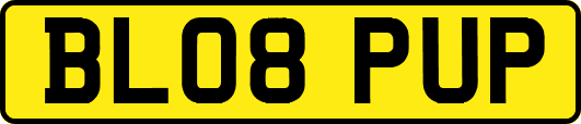 BL08PUP