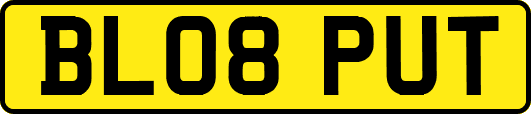 BL08PUT