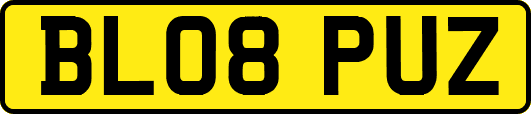 BL08PUZ