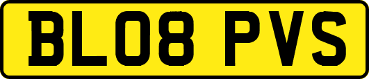 BL08PVS