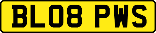 BL08PWS