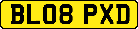 BL08PXD