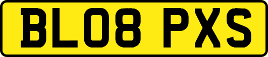 BL08PXS