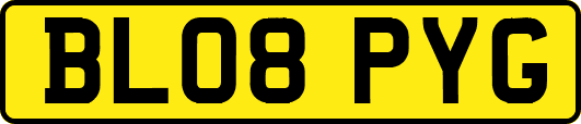BL08PYG