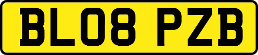 BL08PZB
