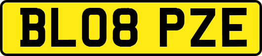 BL08PZE