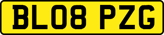 BL08PZG