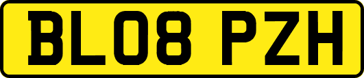 BL08PZH