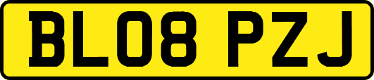 BL08PZJ