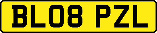 BL08PZL