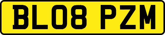 BL08PZM