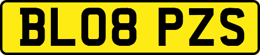 BL08PZS