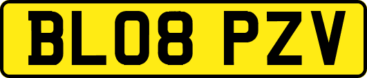 BL08PZV