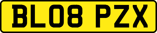 BL08PZX
