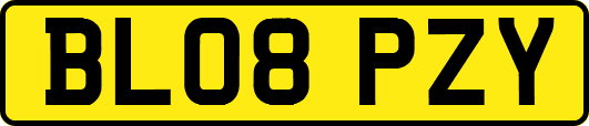 BL08PZY
