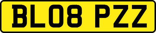 BL08PZZ