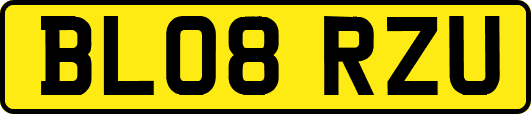 BL08RZU