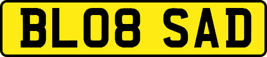 BL08SAD