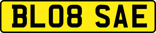 BL08SAE