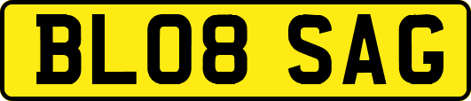 BL08SAG