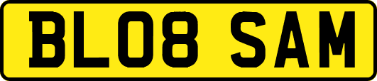 BL08SAM