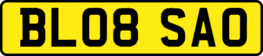 BL08SAO