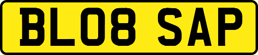 BL08SAP
