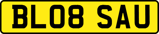 BL08SAU