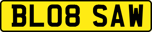 BL08SAW
