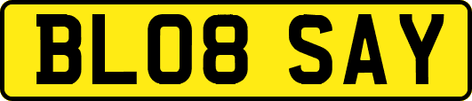 BL08SAY